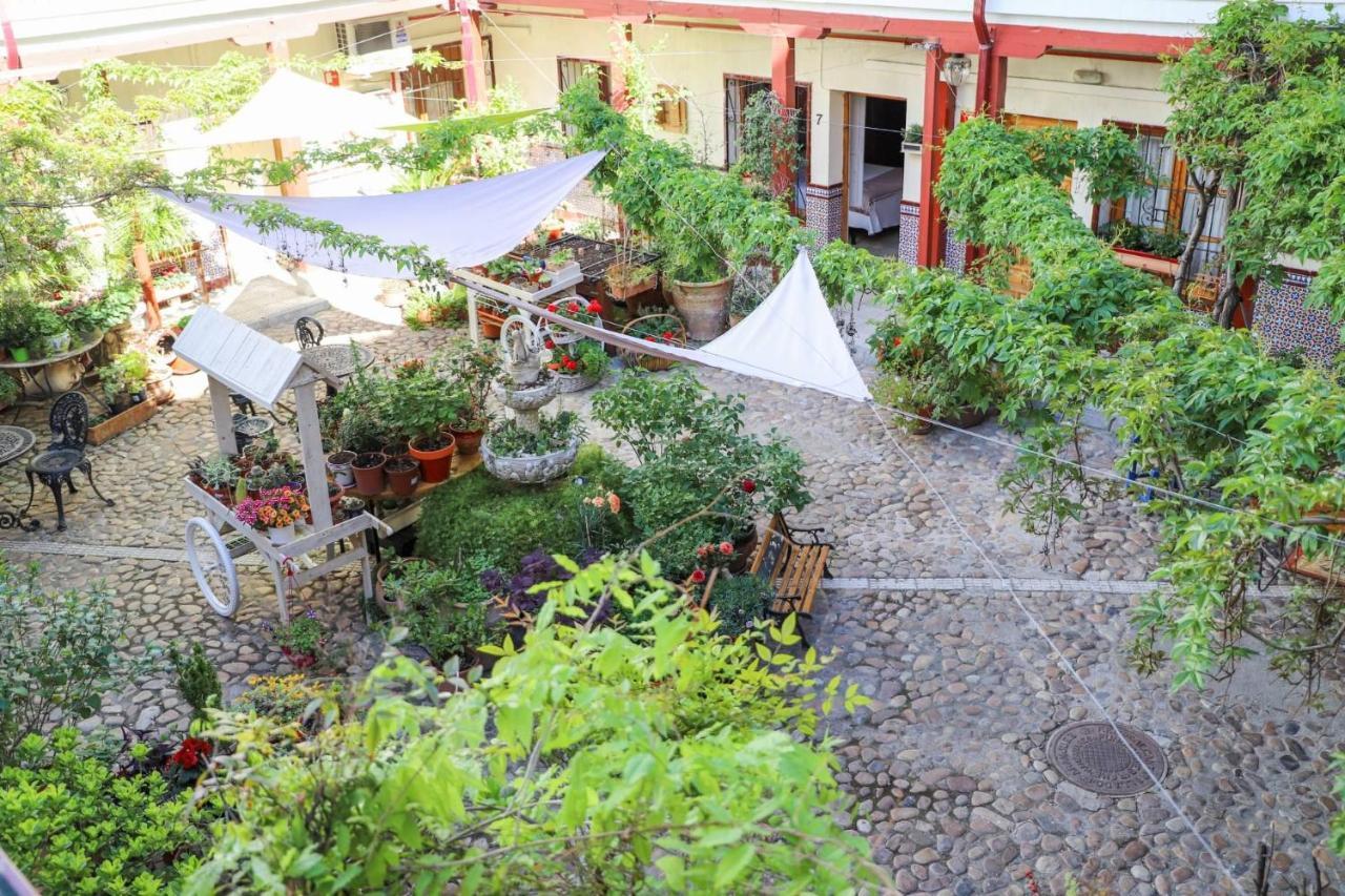 Hostal Castilla Montesilvano Exterior foto